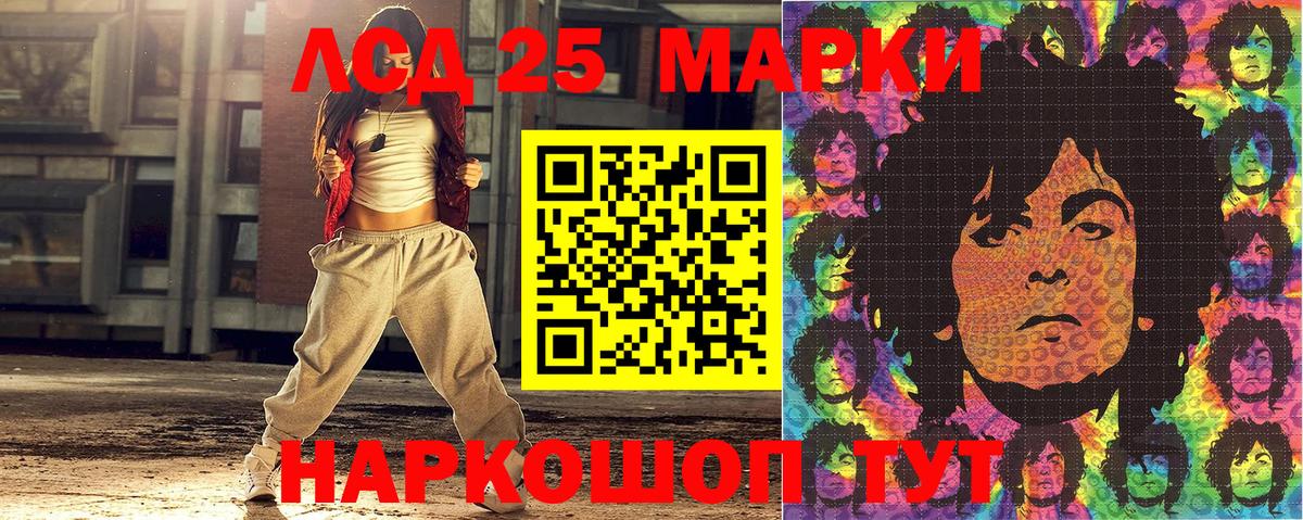 Псилоцибиновые грибы Северск