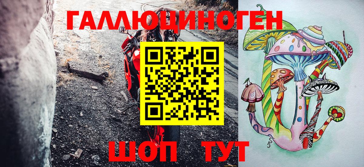 Псилоцибиновые грибы ЛСД Северск