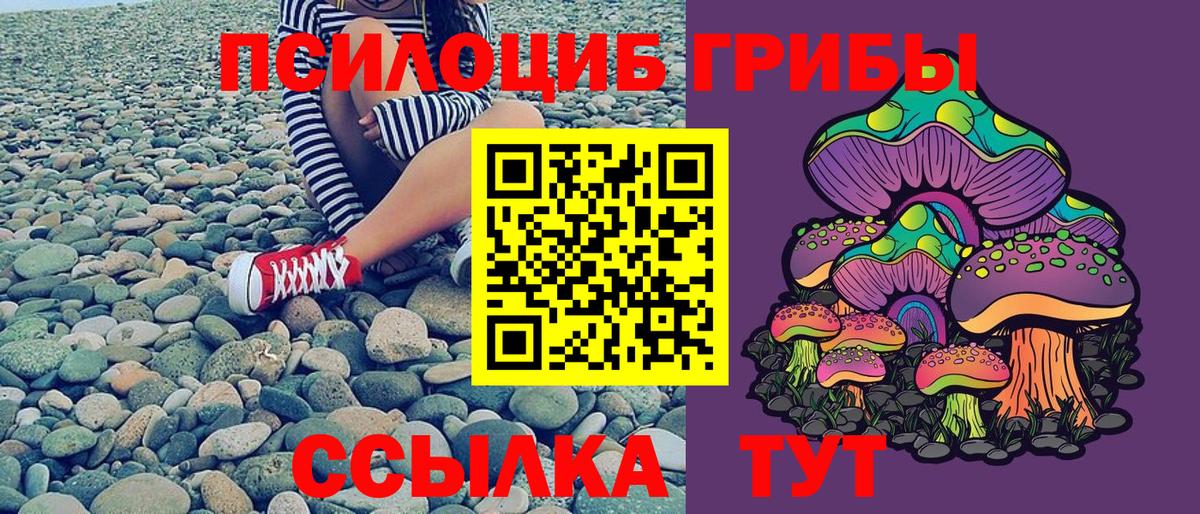 Северск  Галлюциногенные грибы Psilocybe  Вход с VPN  Галлюциногенные грибы Magic Shrooms 